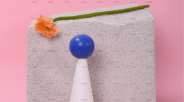 demo-attachment-198-pexels-daria-liudnaya-7354801